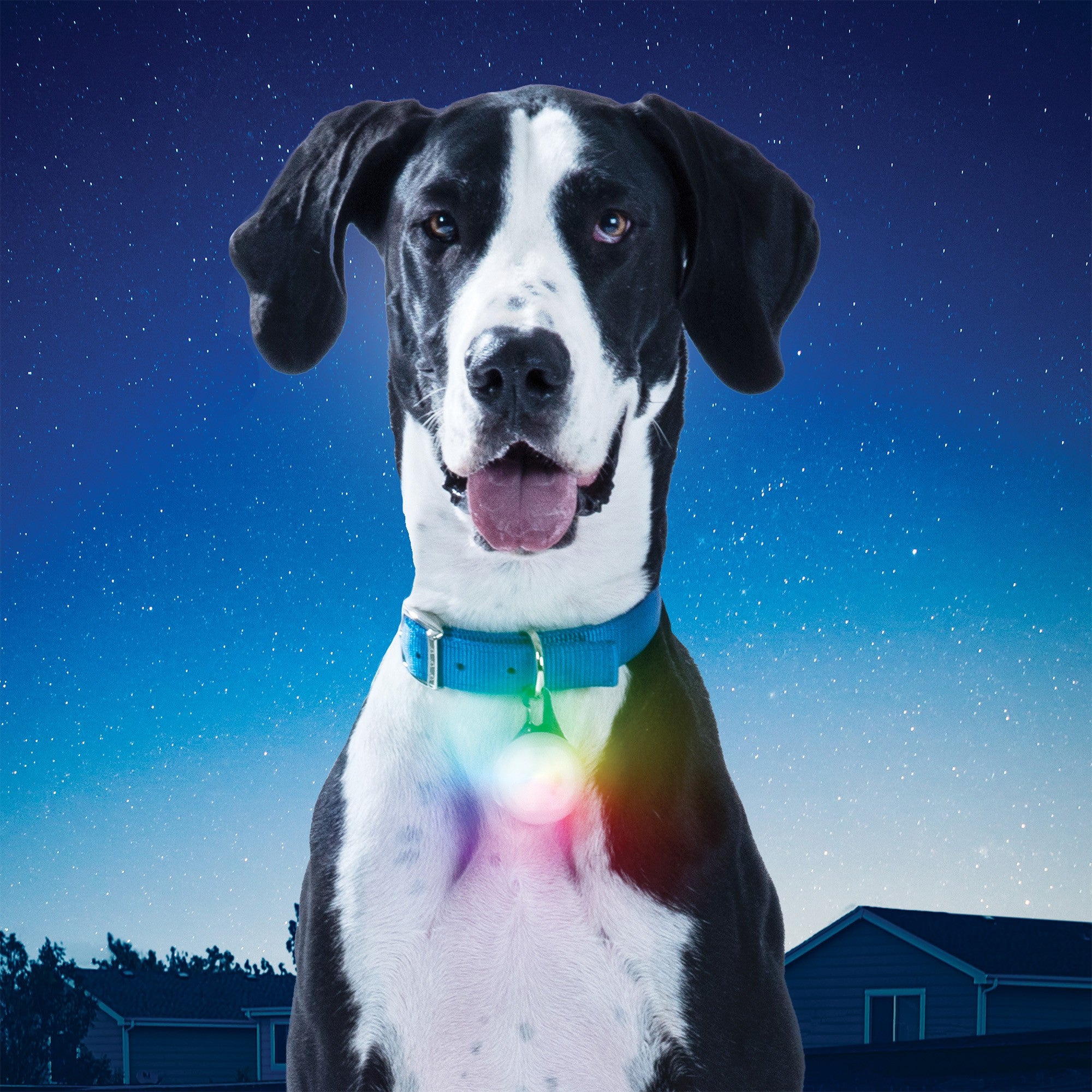Nite Ize SpotLit XL Rechargeable Collar Light - Disc-O Select - 15-10872
